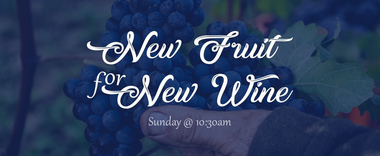 New Fruit For New Wine sermon series